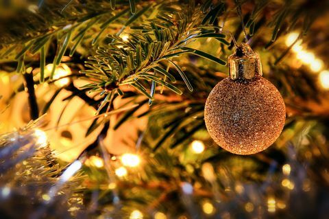S vianočným stromčekom je spojené neočakávané zdravotné riziko