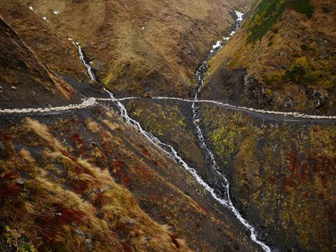 pasenie oviec - trasa - Abano Pass - Gruzínsko - Amos Chapple / RFE / RL