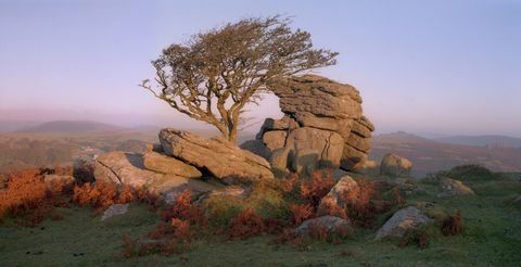 Dartmoor - Saddle Tor